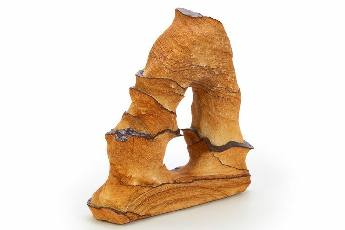 Tall Picture Sandstone Arch - Arizona #309841